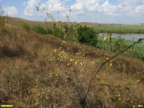 Перспективная ООПТ Черкасский берег Челбаса