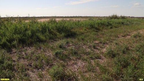 Перспективная ООПТ Западно-Челбасское солочаковое озеро
