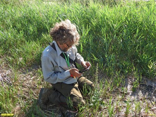 Координатор ЭВСК А.Рудомаха определяет виды растений в перспективной ООПТ Западно-Челбасское солочаковое озеро