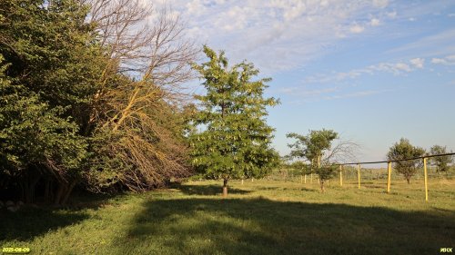 Перспективная ООПТ Сладколиманская роща