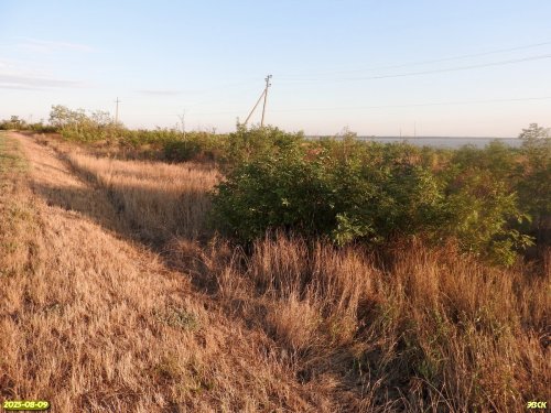 Перспективная ООПТ Берег Сладкого лимана