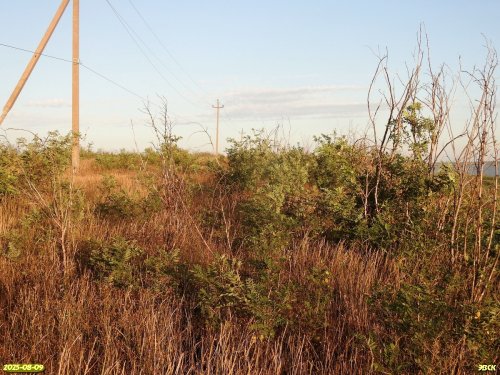Перспективная ООПТ Берег Сладкого лимана
