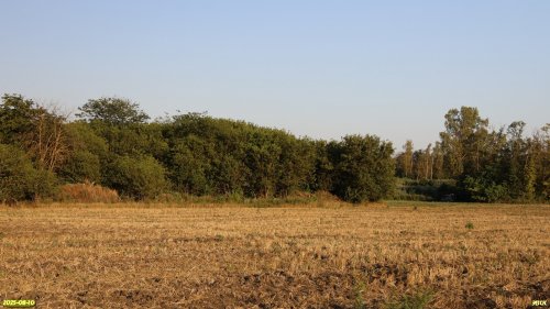 Перспективная ООПТ Роща Ценпринко