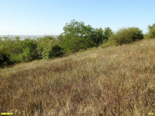 Перспективная ООПТ Каневской лесопарк