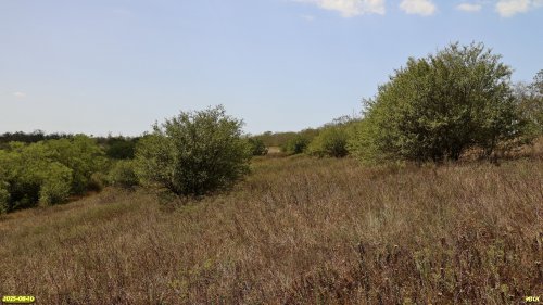 Перспективная ООПТ Урочище Раздол