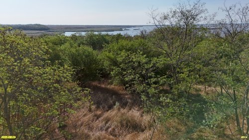 Перспективная ООПТ Урочище Раздол