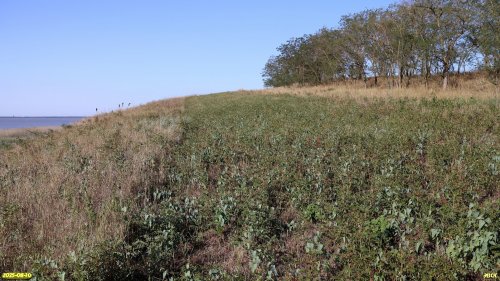 Перспективная ООПТ Горьколиманский высокий берег