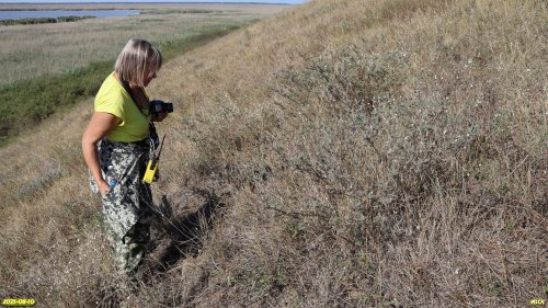 Е.Чеботарёва на обследовании перспективной ООПТ Горьколиманский высокий берег