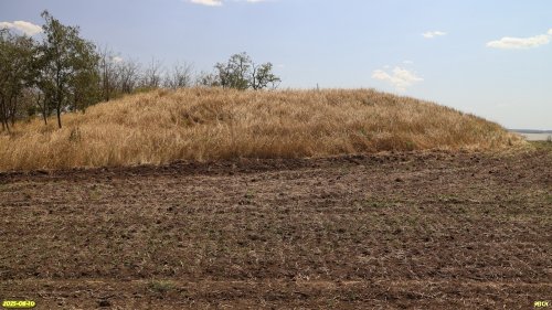 Перспективная ООПТ Раздольский курган