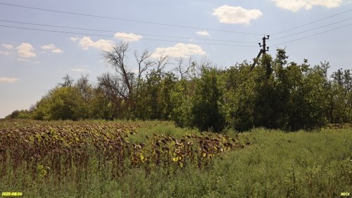 Перспективная ООПТ Восточно-Новодеревянковская роща