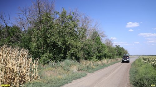 Перспективная ООПТ Цвириньковская роща