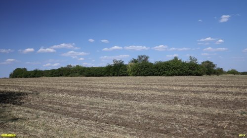 Перспективная ООПТ Берковский Сад 