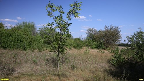 Перспективная ООПТ Берковский Сад 