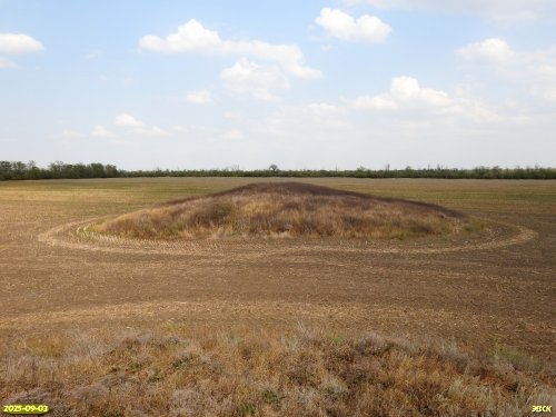 Перспективная ООПТ Южно-Цегловые курганы