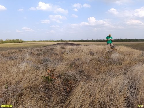 Обследование перспективной ООПТ Южно-Цегловые курганы