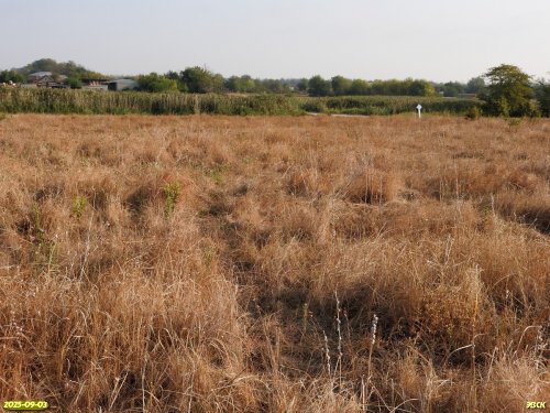 Перспективная ООПТ Устье Полыхановой балки