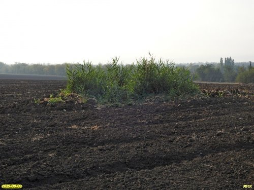 Потенциальная ООПТ Полыханов курган оказалась холмом над заброшенной скважиной