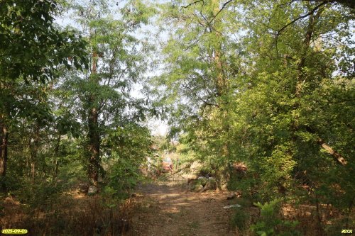 Перспективная ООПТ Красногвардейская роща