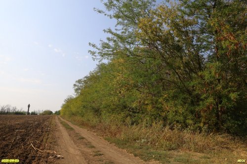 Перспективная ООПТ Красногвардейская роща