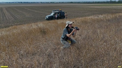 Обследование перспективной ООПТ Северо-Цегловые курганы