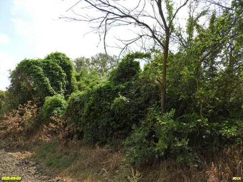 Перспективная ООПТ Урочище Абраменково 