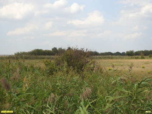 Перспективная ООПТ Причелбасское озеро