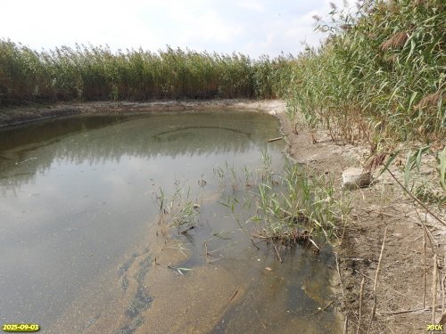 Перспективная ООПТ Причелбасское озеро