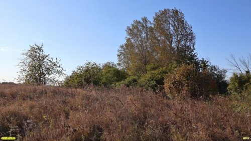 Перспективная ООПТ Бондаренковский курган с участками степи