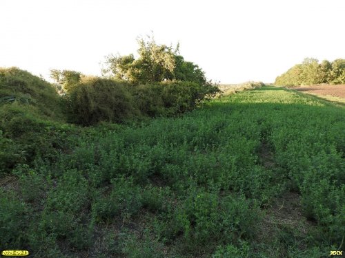 Перспективная ООПТ Бондаренков Кут