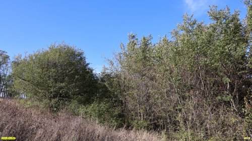 Перспективная ООПТ Бондаренкова степь 