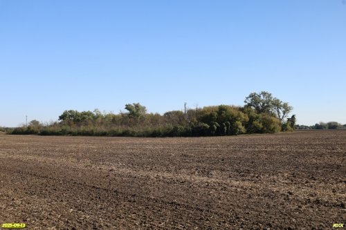 Перспективная ООПТ Большечелбасская роща