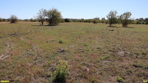 Перспективная ООПТ Герковские лесокустарниковые луга