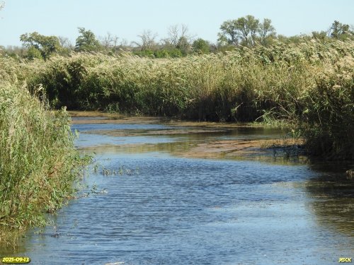Перспективная ООПТ Герковское озеро
