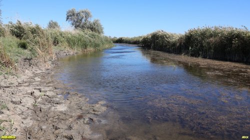 Перспективная ООПТ Герковское озеро