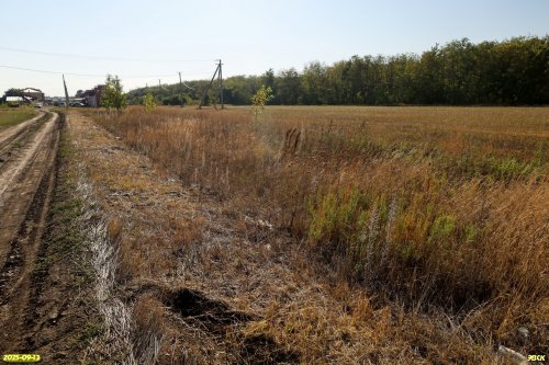 Окраина перспективной ООПТ Южно-Каневская роща