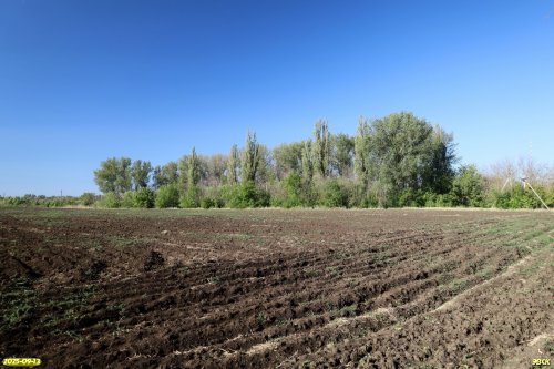 Перспективная ООПТ Сухочелбасская роща