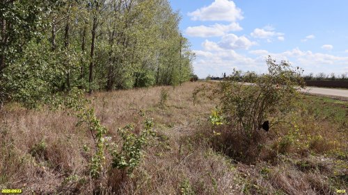 Перспективная ООПТ Восточно-Каневская роща