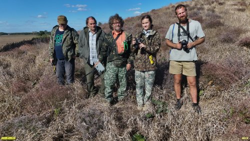 Активисты ЭВСК на обследовании озеленённых территорий в МО Каневской район (13.09.2025)