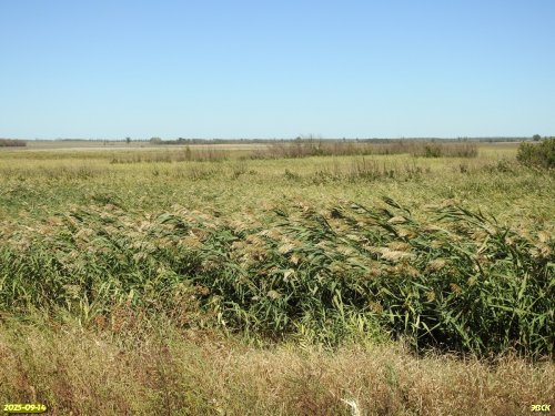 Перспективная ООПТ Морозовские плавни