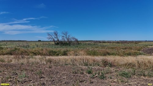 Перспективная ООПТ Морозовские плавни