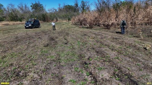 Участники полевого выезда на окраине перспективной ООПТ Урочище Бабенко 