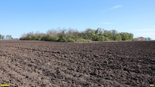 Перспективная ООПТ Вишальный колок