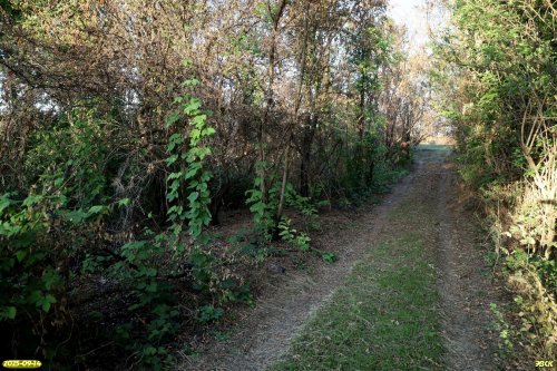 Перспективная ООПТ Василенкова роща