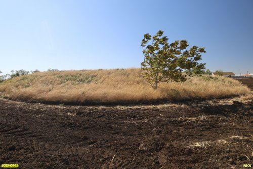 Перспективная ООПТ Западно-Крыловский курган