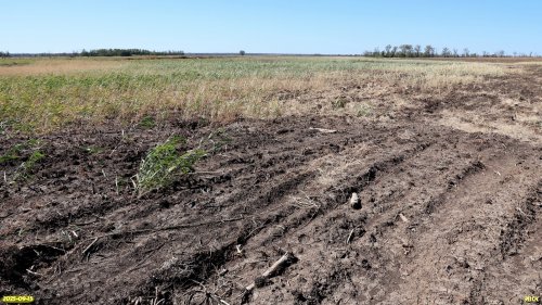 Уничтоженная под распашку перспективная ООПТ Вербицкие луга и плавни