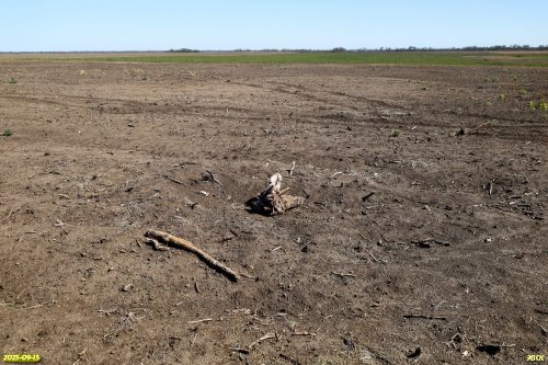 Уничтоженная под распашку перспективная ООПТ Вербицкая роща