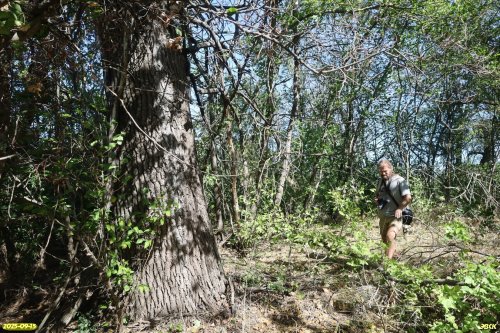 Д.Матвеев на обследовании перспективной ООПТ Птицефермовская роща