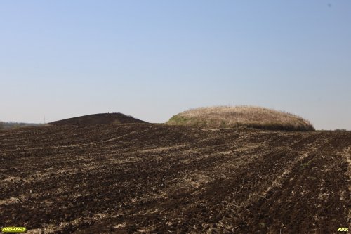 Перспективная ООПТ Курганы Близнецы