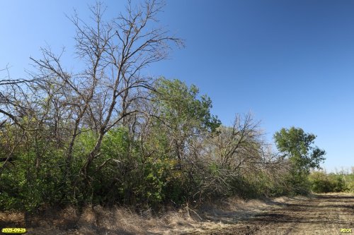 Перспективная ООПТ Тополёкский лес