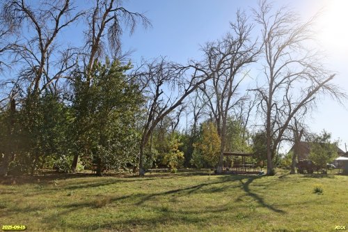 Перспективная ООПТ Тополёкский лес